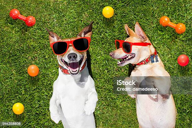 istockphoto-544358808-612x612